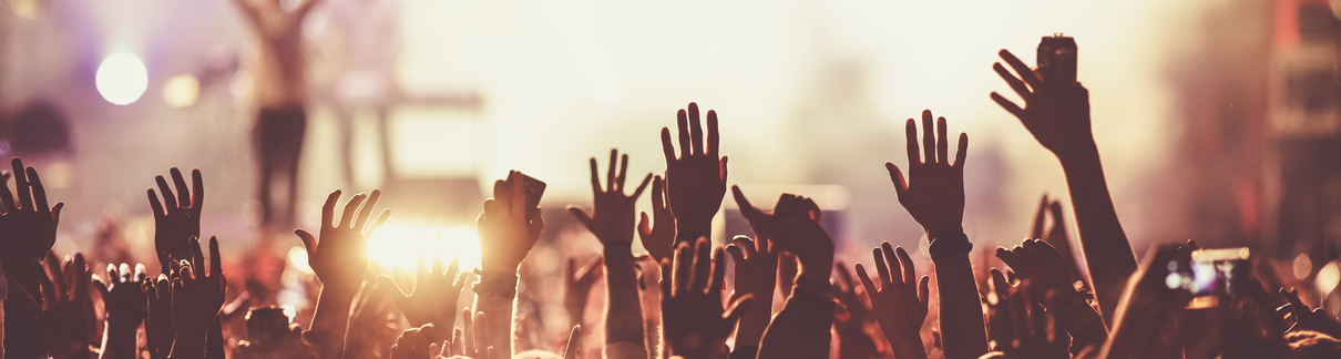A crowd at a concert.