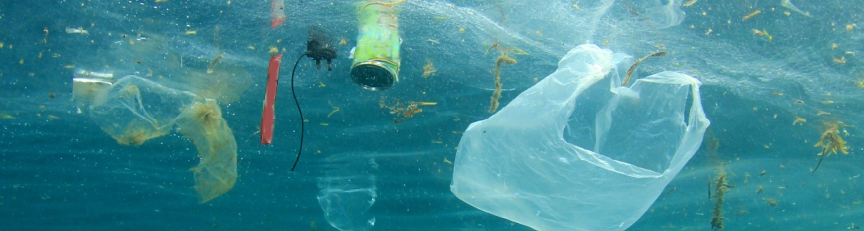 Plastic pollution in the ocean.