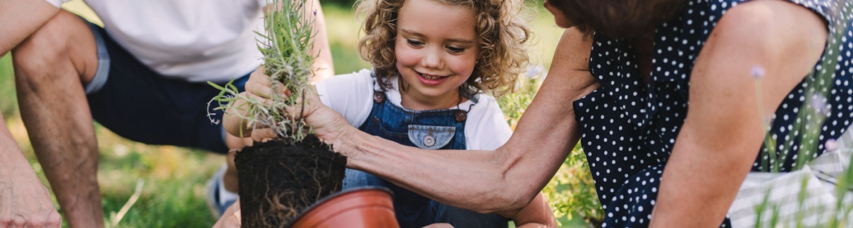 Grandparents gardening with their grandchild.