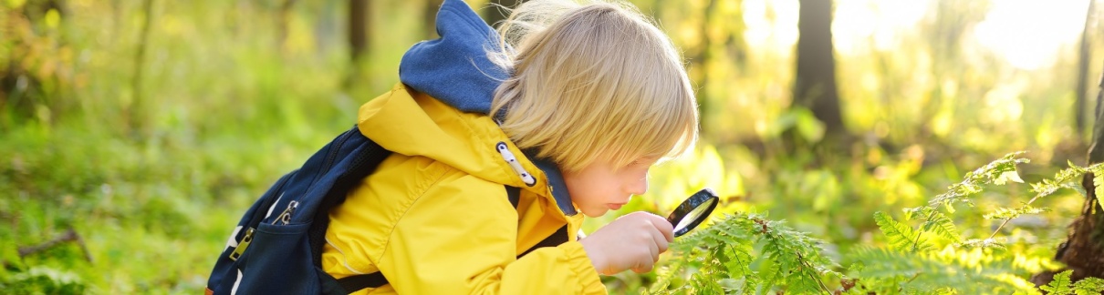 A boy using a magnifying glass in the woods.