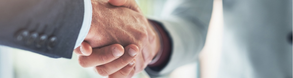 Two people shaking hands.