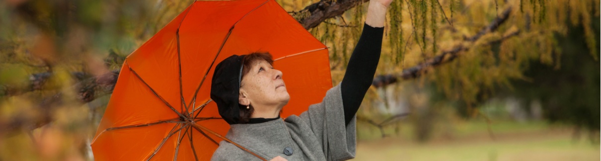 A woman under an umbrella.