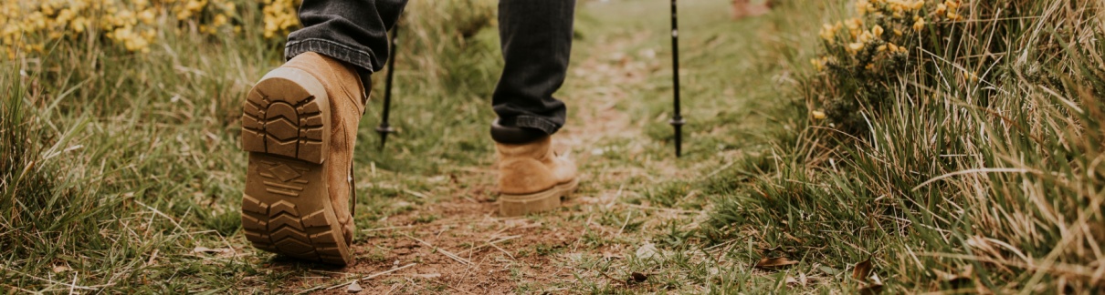 A group of people walking along a hiking trail.