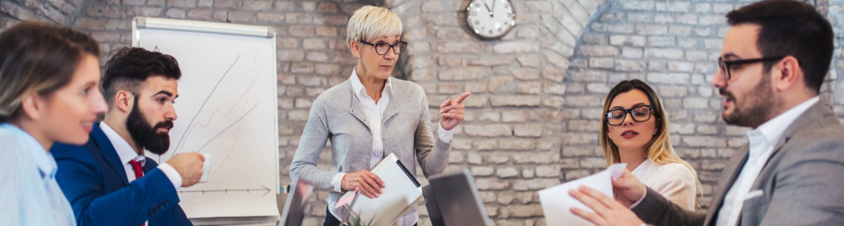 A group of colleagues sitting around a conference table.