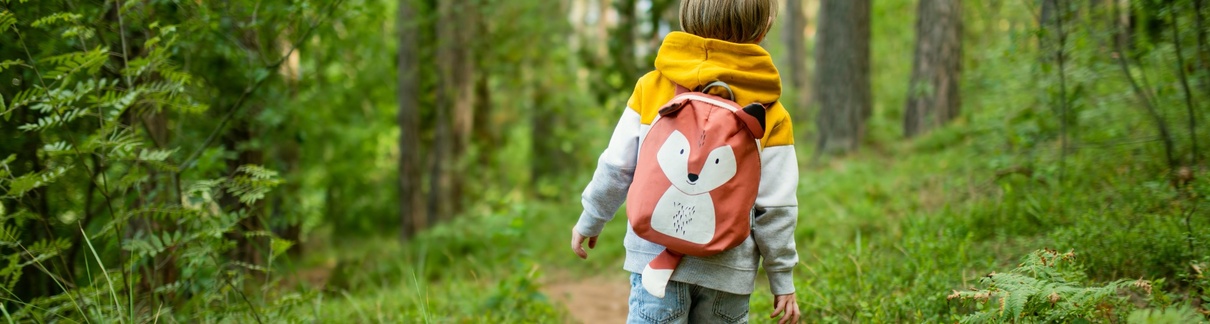 A child following a path through a wood.