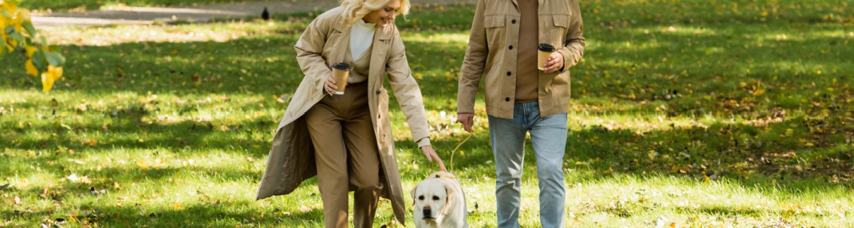 A couple and a dog walking in a park.