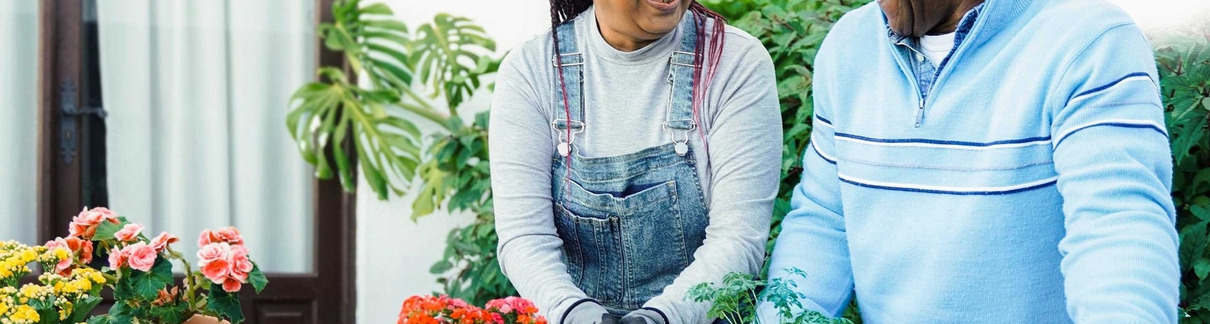 A couple potting plants together.
